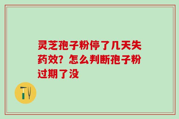 灵芝孢子粉停了几天失药效？怎么判断孢子粉过期了没