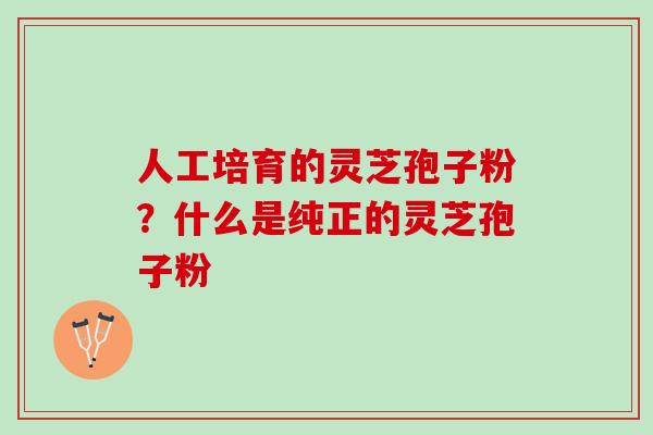 人工培育的灵芝孢子粉？什么是纯正的灵芝孢子粉