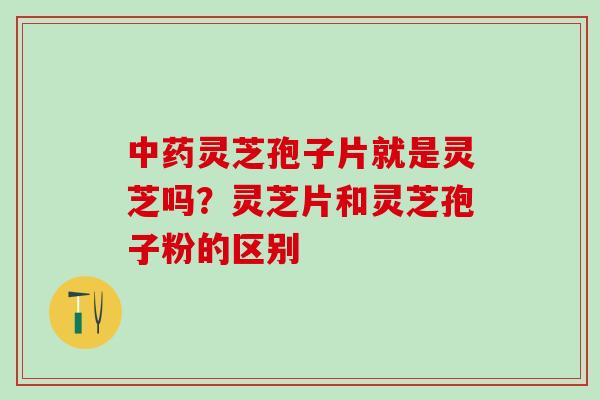 中药灵芝孢子片就是灵芝吗？灵芝片和灵芝孢子粉的区别