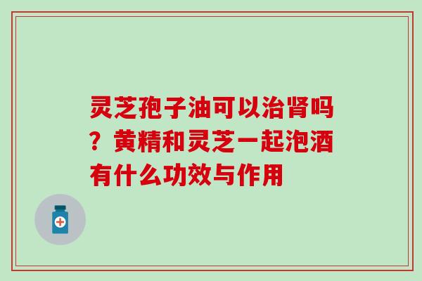 灵芝孢子油可以治肾吗？黄精和灵芝一起泡酒有什么功效与作用