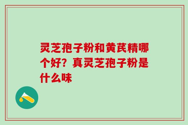 灵芝孢子粉和黄芪精哪个好？真灵芝孢子粉是什么味