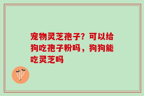 宠物灵芝孢子?可以给狗吃孢子粉吗,狗狗能吃灵芝吗 宠物灵芝孢子?可以给狗吃孢子粉吗,狗狗能吃灵芝吗