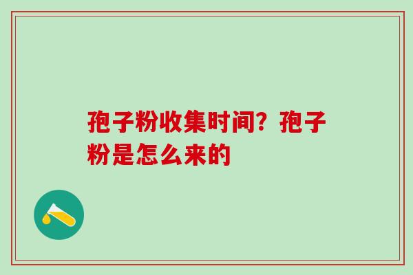 孢子粉收集时间？孢子粉是怎么来的
