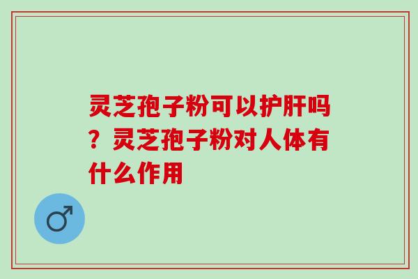 灵芝孢子粉可以护肝吗？灵芝孢子粉对人体有什么作用