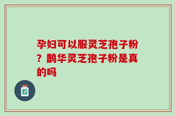 孕妇可以服灵芝孢子粉？鹊华灵芝孢子粉是真的吗