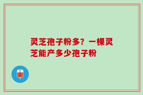 灵芝孢子粉多？一棵灵芝能产多少孢子粉