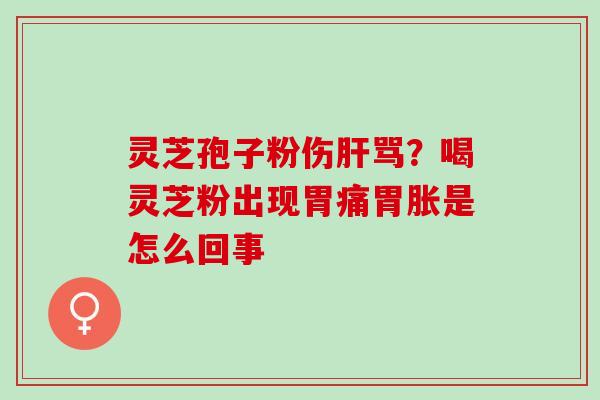 灵芝孢子粉伤肝骂？喝灵芝粉出现胃痛胃胀是怎么回事