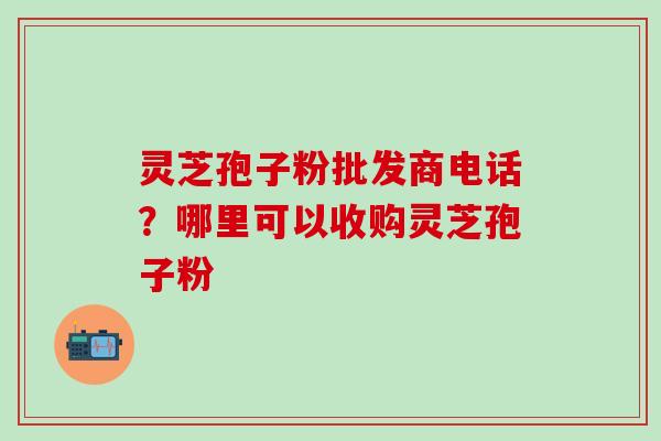 灵芝孢子粉批发商电话？哪里可以收购灵芝孢子粉