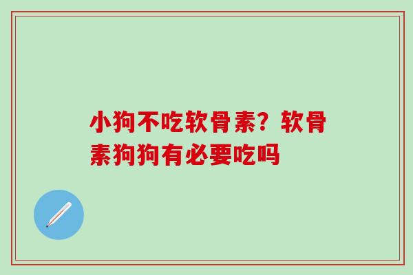 小狗不吃软骨素？软骨素狗狗有必要吃吗