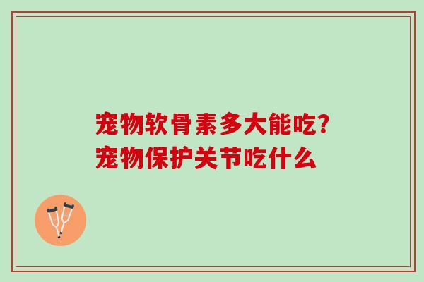 宠物软骨素多大能吃？宠物保护关节吃什么