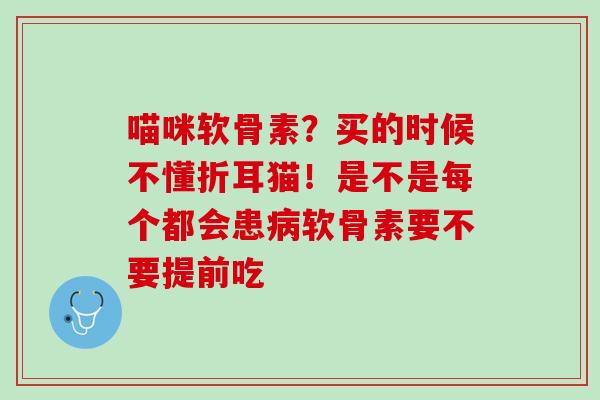 喵咪软骨素？买的时候不懂折耳猫！是不是每个都会患病软骨素要不要提前吃
