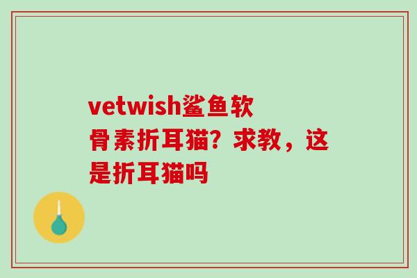 vetwish鲨鱼软骨素折耳猫?求教,这是折耳猫吗 vetwish鲨鱼软骨素折耳猫?求教,这是折耳猫吗