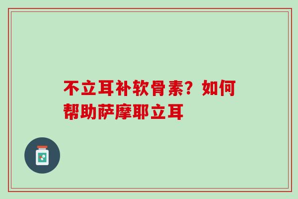 不立耳补软骨素？如何帮助萨摩耶立耳