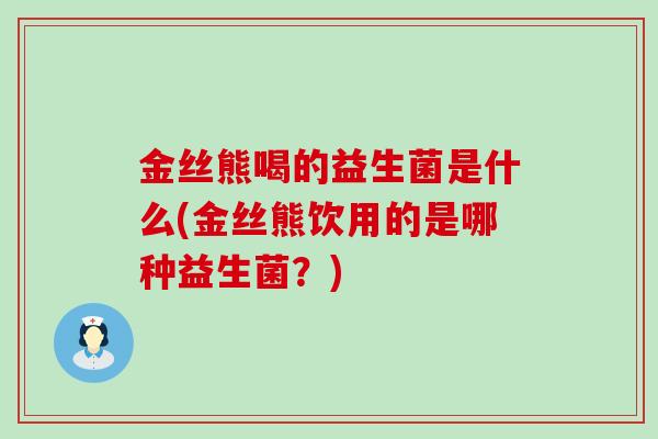 金丝熊喝的益生菌是什么(金丝熊饮用的是哪种益生菌？)