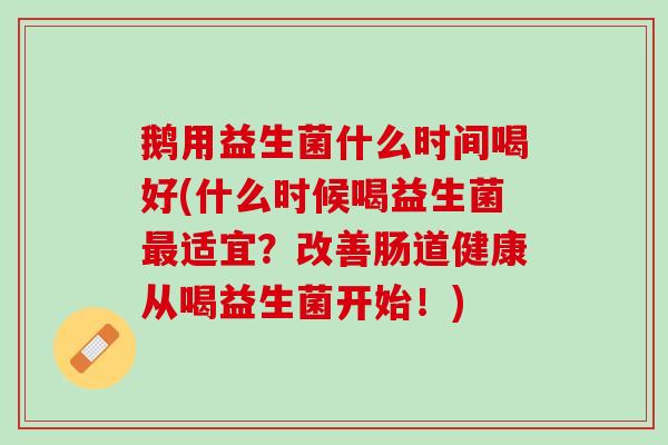鹅用益生菌什么时间喝好(什么时候喝益生菌最适宜？改善肠道健康从喝益生菌开始！)