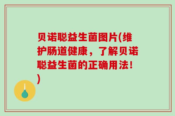贝诺聪益生菌图片(维护肠道健康，了解贝诺聪益生菌的正确用法！)