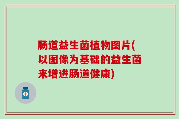 肠道益生菌植物图片(以图像为基础的益生菌来增进肠道健康)