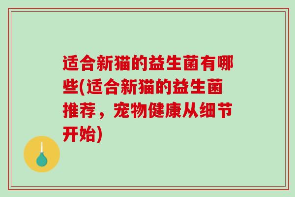 适合新猫的益生菌有哪些(适合新猫的益生菌推荐，宠物健康从细节开始)