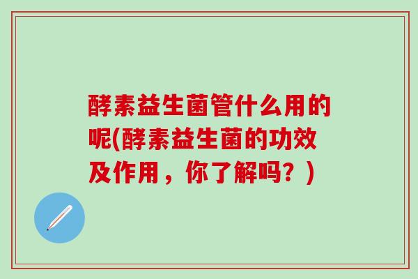 酵素益生菌管什么用的呢(酵素益生菌的功效及作用，你了解吗？)