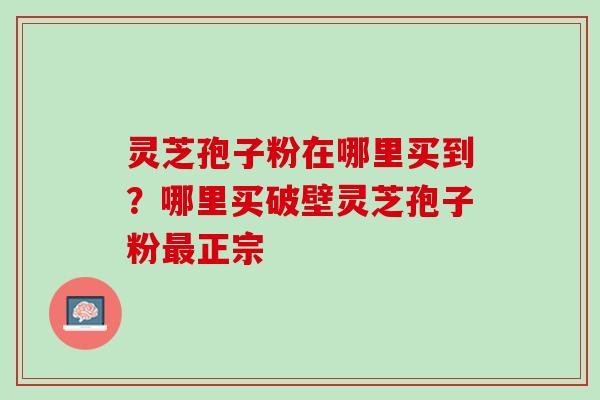 灵芝孢子粉在哪里买到？哪里买破壁灵芝孢子粉最正宗