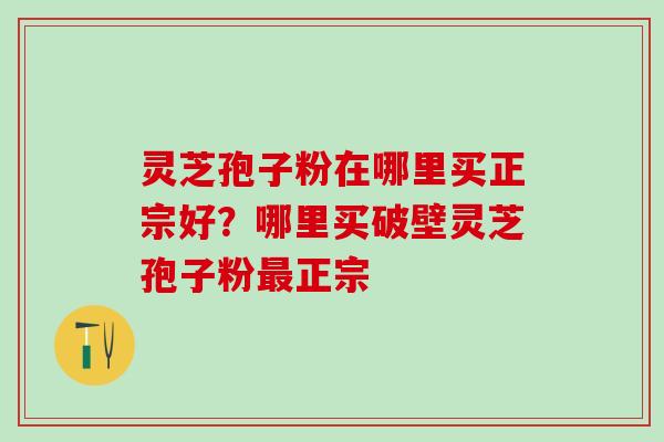 灵芝孢子粉在哪里买正宗好？哪里买破壁灵芝孢子粉最正宗