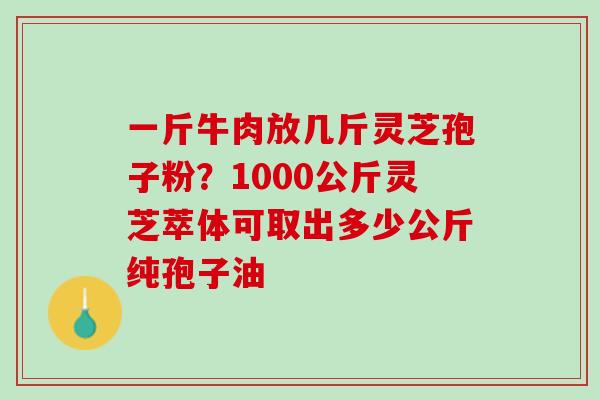 一斤牛肉放几斤灵芝孢子粉？1000公斤灵芝萃体可取出多少公斤纯孢子油