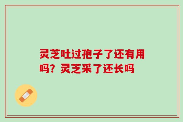 灵芝吐过孢子了还有用吗？灵芝采了还长吗