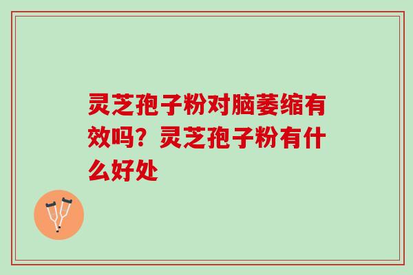 灵芝孢子粉对脑萎缩有效吗？灵芝孢子粉有什么好处