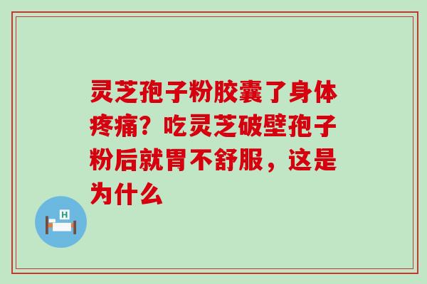 灵芝孢子粉胶囊了身体疼痛？吃灵芝破壁孢子粉后就胃不舒服，这是为什么