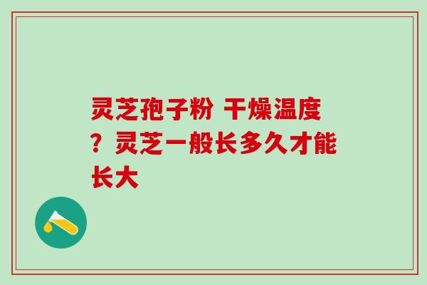 灵芝孢子粉 干燥温度？灵芝一般长多久才能长大