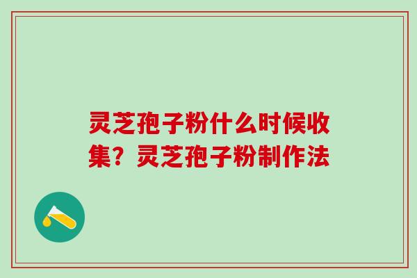 灵芝孢子粉什么时候收集？灵芝孢子粉制作法