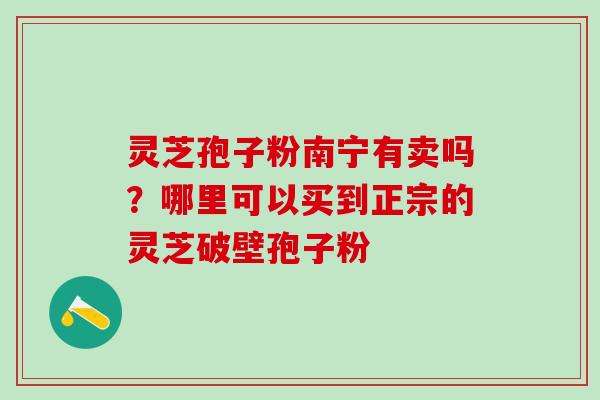 灵芝孢子粉南宁有卖吗？哪里可以买到正宗的灵芝破壁孢子粉