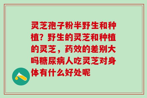 灵芝孢子粉半野生和种植？野生的灵芝和种植的灵芝，药效的差别大吗糖尿病人吃灵芝对身体有什么好处呢