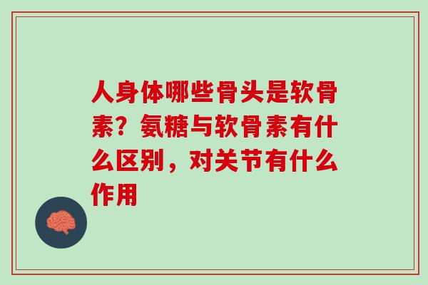 人身体哪些骨头是软骨素？氨糖与软骨素有什么区别，对关节有什么作用