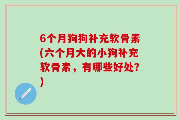 6个月狗狗补充软骨素(六个月大的小狗补充软骨素，有哪些好处？)