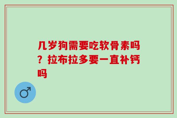 几岁狗需要吃软骨素吗？拉布拉多要一直补钙吗