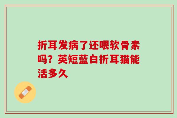 折耳发病了还喂软骨素吗？英短蓝白折耳猫能活多久