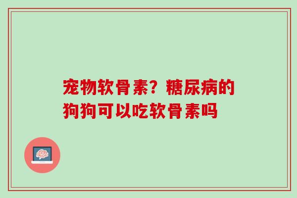 宠物软骨素？糖尿病的狗狗可以吃软骨素吗