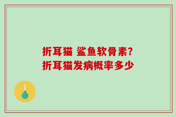 折耳猫 鲨鱼软骨素？折耳猫发病概率多少