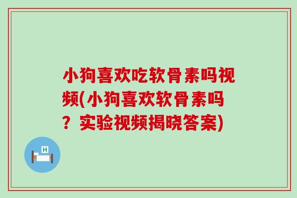 小狗喜欢吃软骨素吗视频(小狗喜欢软骨素吗？实验视频揭晓答案)