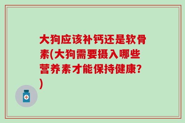 大狗应该补钙还是软骨素(大狗需要摄入哪些营养素才能保持健康？)
