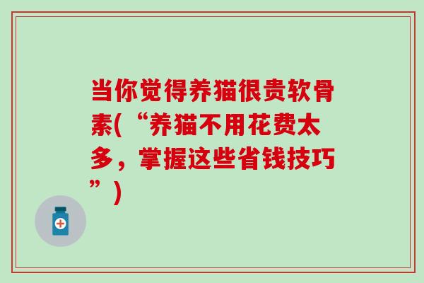 当你觉得养猫很贵软骨素(“养猫不用花费太多，掌握这些省钱技巧”)