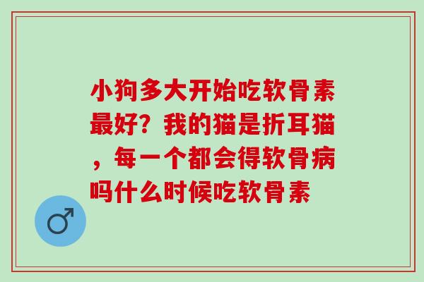 小狗多大开始吃软骨素最好？我的猫是折耳猫，每一个都会得软骨病吗什么时候吃软骨素