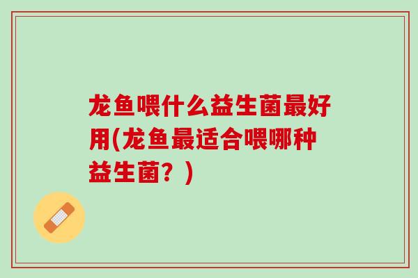 龙鱼喂什么益生菌最好用(龙鱼最适合喂哪种益生菌？)