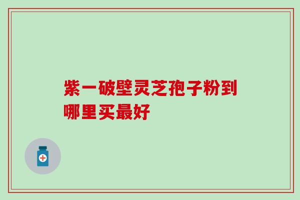 紫一破壁灵芝孢子粉到哪里买最好