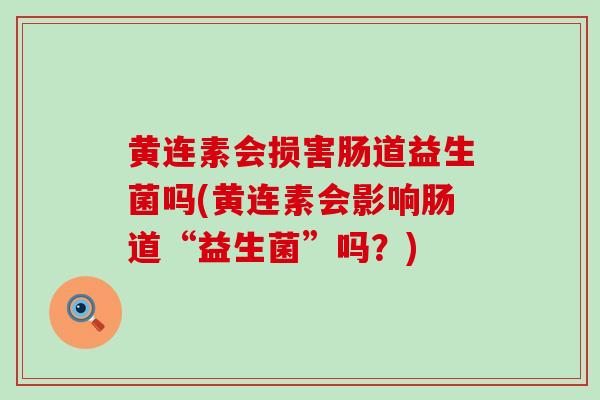 黄连素会损害肠道益生菌吗(黄连素会影响肠道“益生菌”吗？)