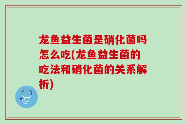 龙鱼益生菌是硝化菌吗怎么吃(龙鱼益生菌的吃法和硝化菌的关系解析)