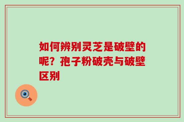 如何辨别灵芝是破壁的呢？孢子粉破壳与破壁区别
