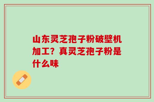山东灵芝孢子粉破壁机加工？真灵芝孢子粉是什么味