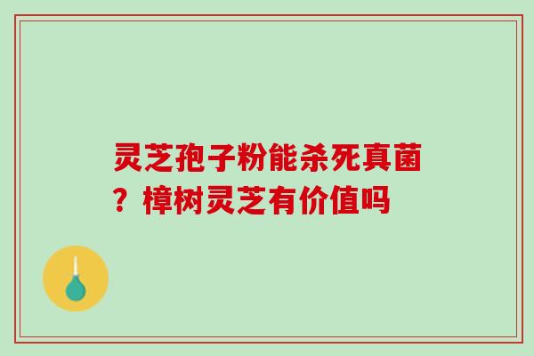 灵芝孢子粉能杀死真菌？樟树灵芝有价值吗